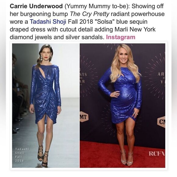 Tadashi Shoji Sousa Draped Sequin Dress Size XS - Picture 9 of 9